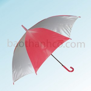DCT SẮT R60 CÁN NHỰA -001