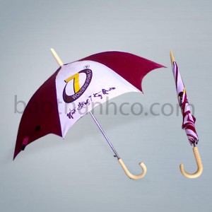 DCT R43 SẮT SỐ 22T