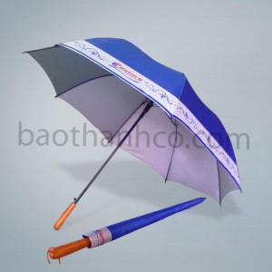 DCTR75 SẮT 19T