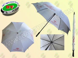 DÙ SẮT CÁN NHỰA R70