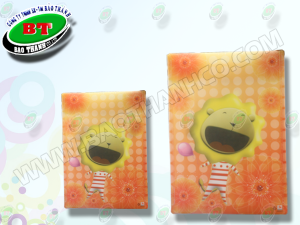Túi vải không dệt 01